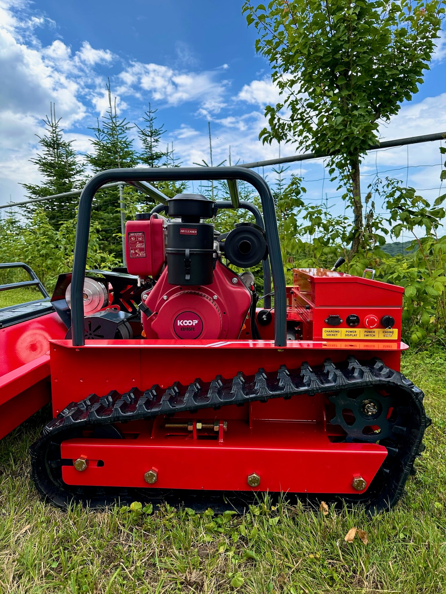 Leistungsstarker Mulcher mit Raupenantrieb auf Wiese, moderne Gartentechnik, rote Maschine